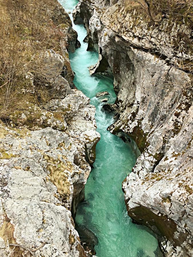 Pri Zajcu Daire Bovec Dış mekan fotoğraf